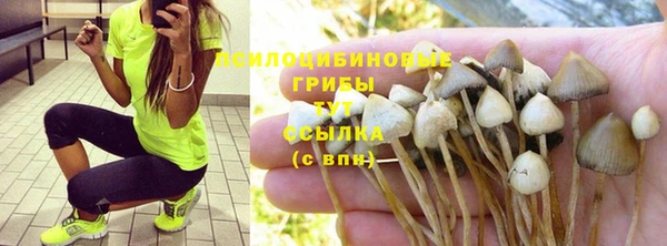 ешки Алексеевка